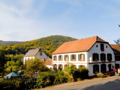 Foto: Waldrestaurant/Hotel St. Germanshof